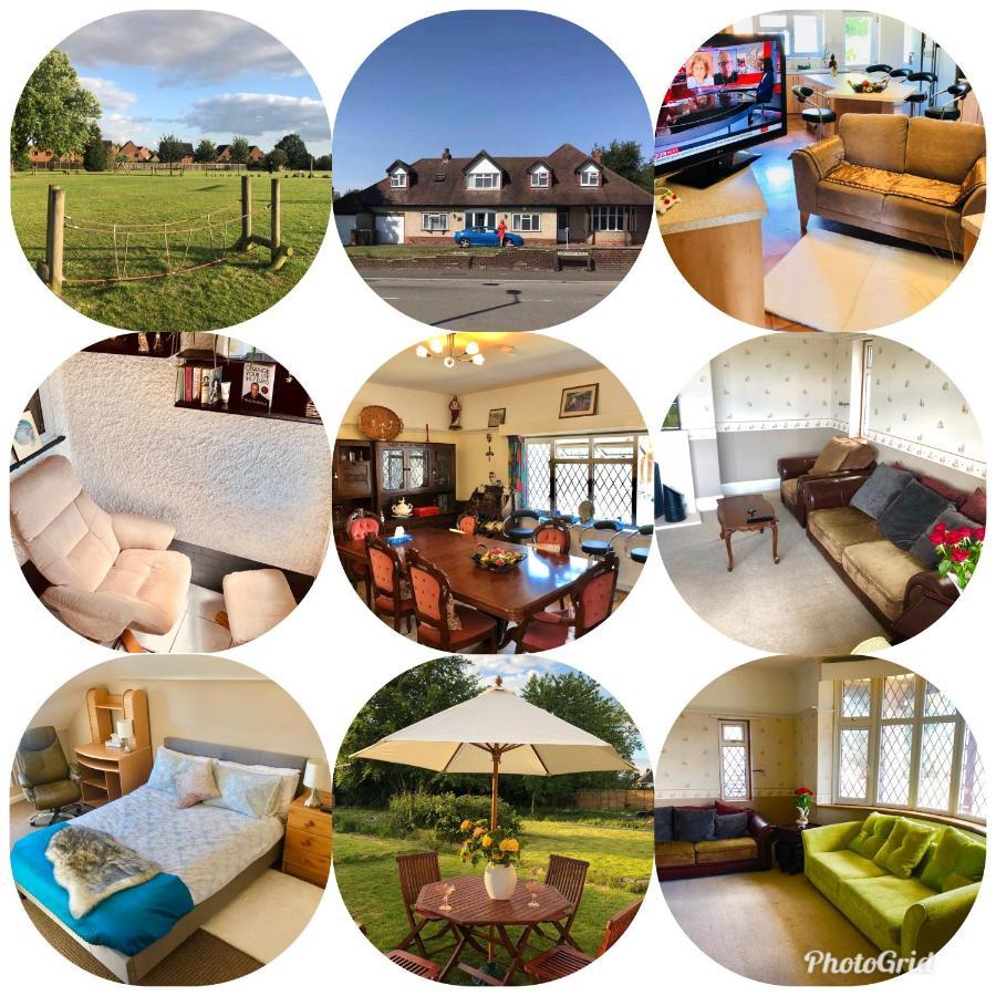 Amazing Quiet Garden House Near London Luton Airport Διαμέρισμα Εξωτερικό φωτογραφία