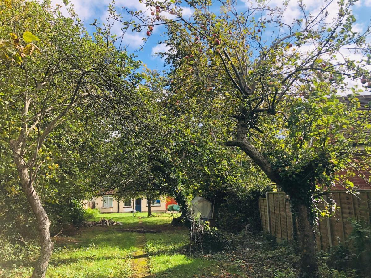 Amazing Quiet Garden House Near London Luton Airport Διαμέρισμα Εξωτερικό φωτογραφία